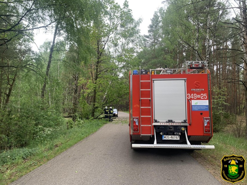 Silny wiatr w powiecie ostrołęckim, 21.05.2022. Strażacy usuwali drzewa powalone na drogi. Zdjęcia