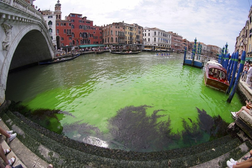 Tajemnicza odblaskowa zielona plama na Canal Grande w Wenecji. Włosi zaniepokojeni