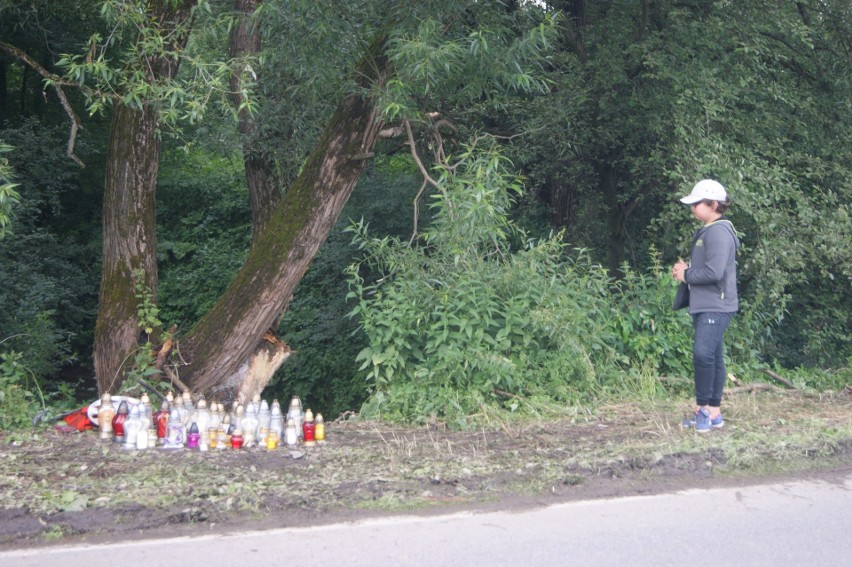 Tu widzimy ślady jakie zostawił na trawie wypadający z drogi...