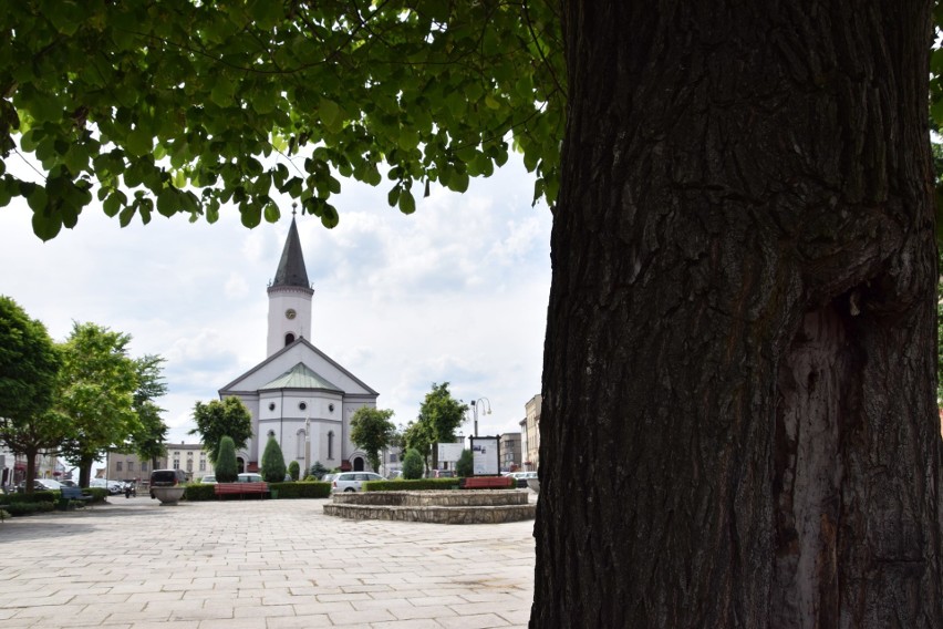 Tak wygląda aktualnie plac Wolności, czyli rynek w...