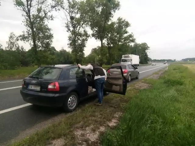 Poszukuwany ENA wpadł pod Ciechocinkiem. W tle handel ludźmi [ZDJĘCIA, WIDEO]