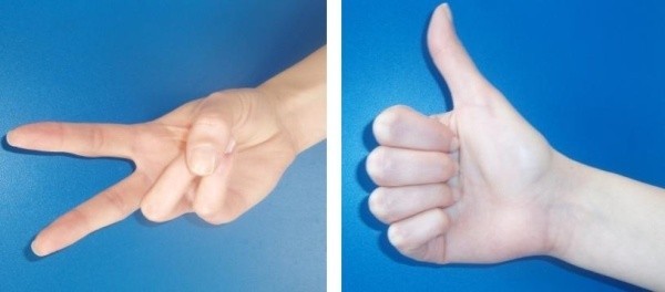 Z lewej gest "charakterystyczne V" i "uniesiony kciuk"