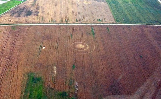 UFO w Białymstoku? Kręgi w zbożu na Dojlidach