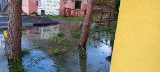 Przebudowa drogi Słupsk-Ustka. Woda zalewa dom i działki w Zimowiskach