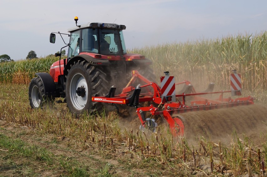 Podlaski Dzień Kukurydzy 2019 w Szepietowie. Na imprezę przyszły tłumy! (zdjęcia)