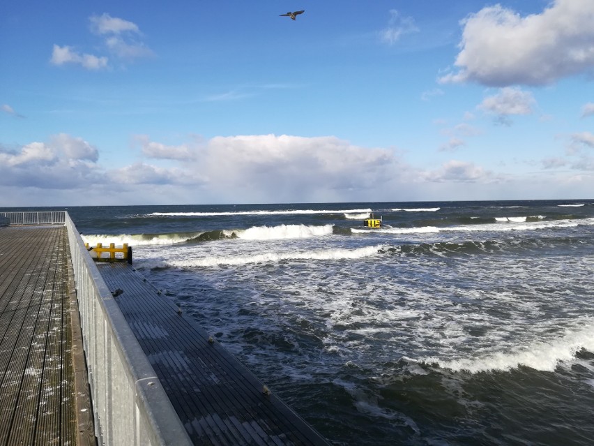 Zobaczcie zdjęcia z sobotniego popołudnia na plaży w...