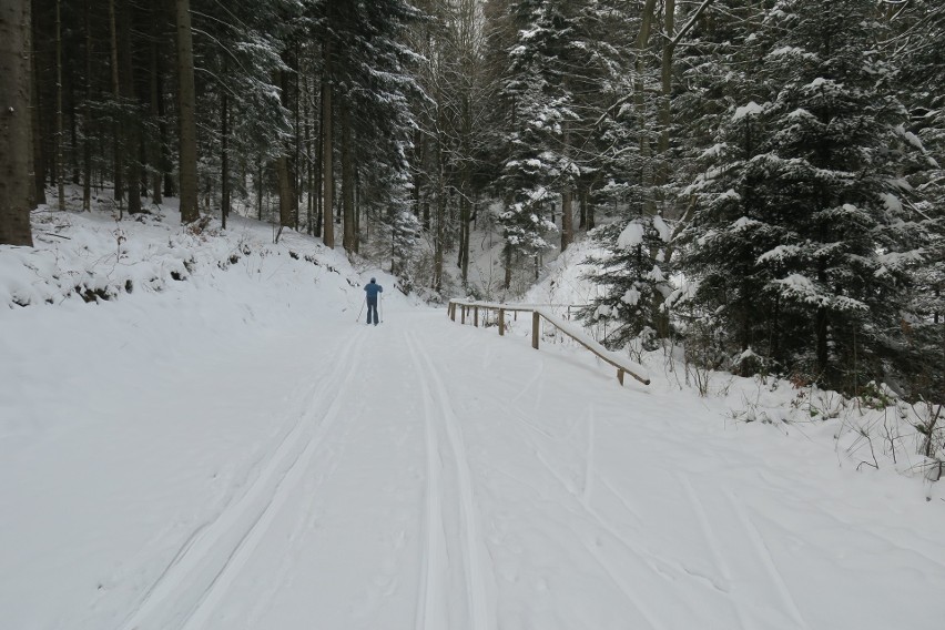 Czynne są już biegowe trasy narciarskie w Ustjanowej i w Mucznem. Dla narciarzy przygotowywane są imprezy