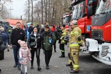 Rybnik gra z WOŚP. Morsy na Pniowcu, koncerty na Kampusie. Wydarzenia potrwają do późnego wieczora. Zobacz ZDJĘCIA