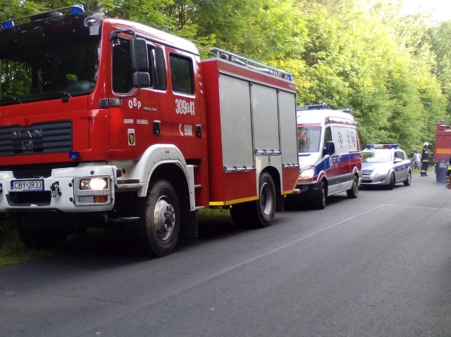 Na miejscu szybko zjawiły się odpowiednie służby