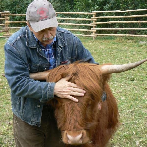 Byk Monti wygląda groźnie, ale to tylko pozory - twierdzi Jerzy Jarmołowicz.