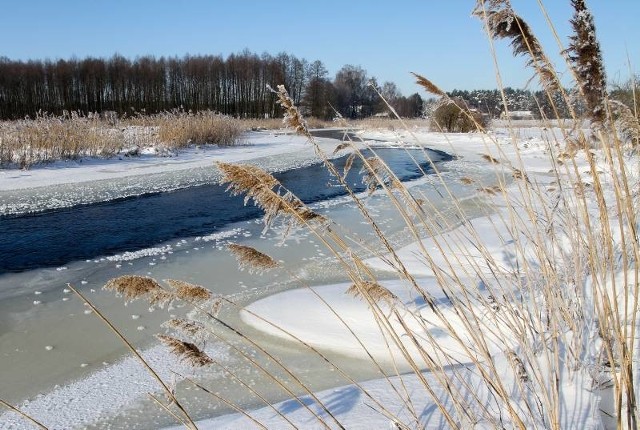 Rzędziany, zima w Narwiańskim parku Narodowym, rekordowe mrozy, 14.01.2010