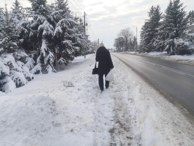 Ponieważ nikt nie poczuwa się do odśnieżenia chodnika przy Witosa w Busku, przechodnie sami wydeptują sobie ścieżki w śniegu.