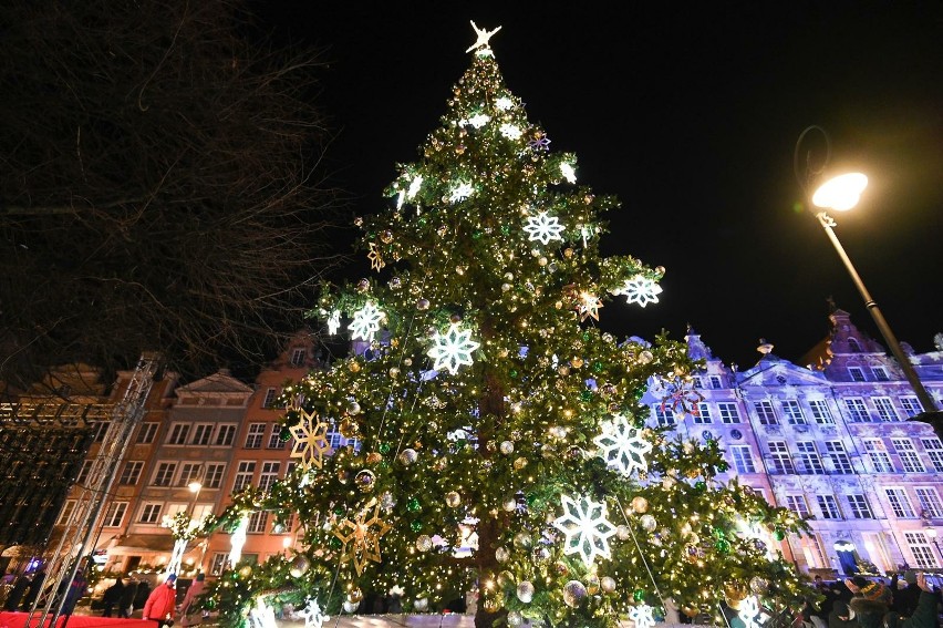 Choinka świąteczna już świeci na Długim Targu w Gdańsku