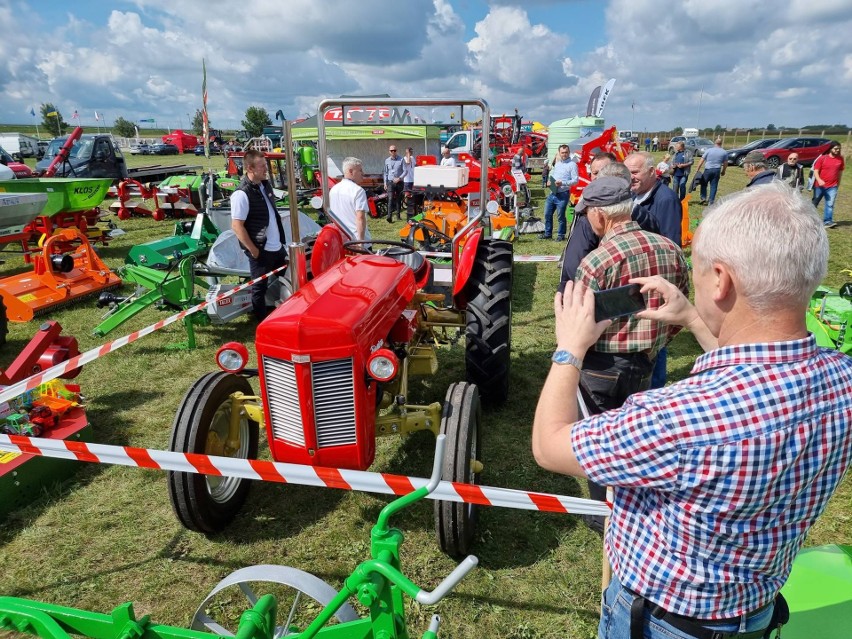 Trwają AgroTargi Wschód 2021 w Skołoszowie w powiecie jarosławskim. Zobacz zdjęcia