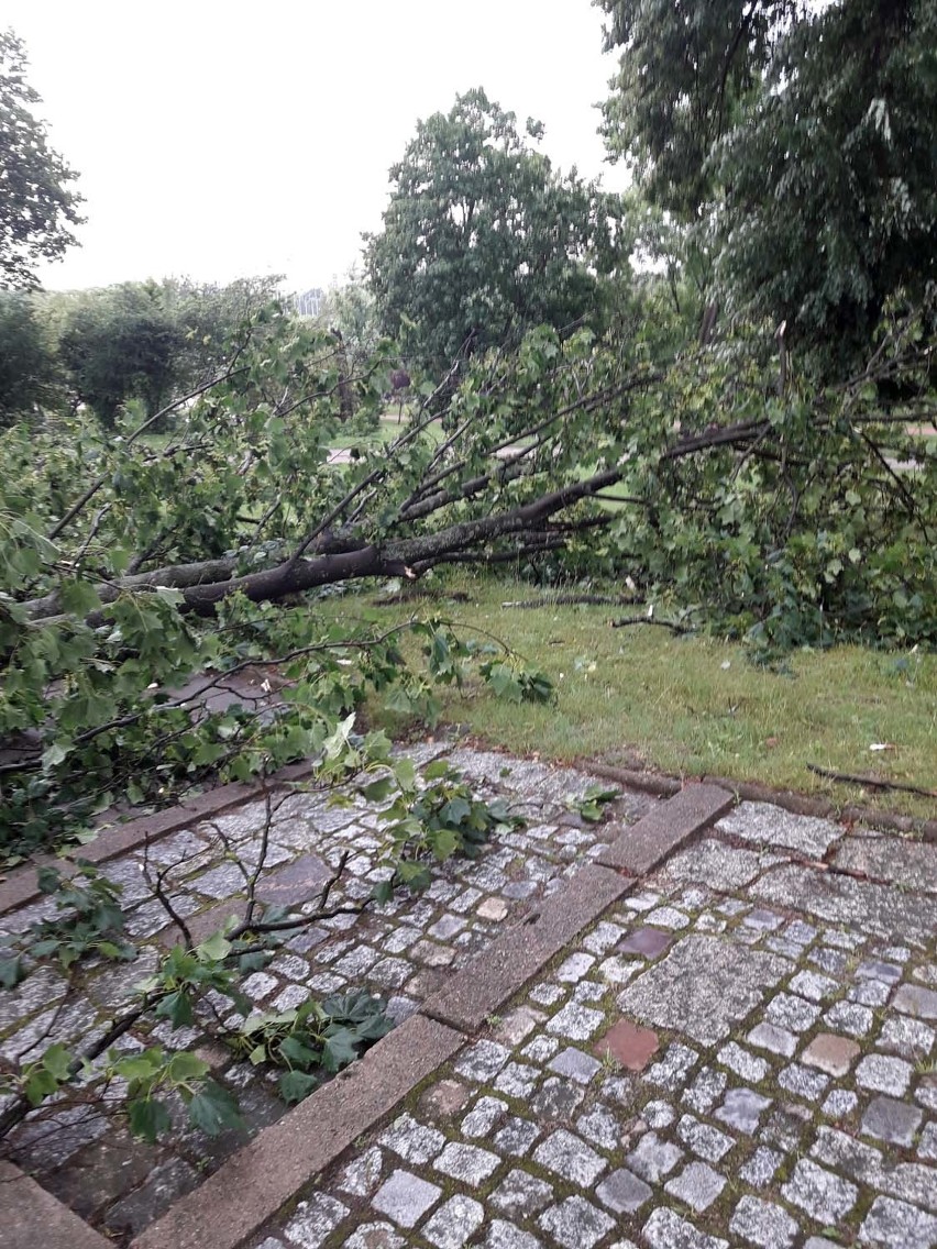 Czwartkowa burza w Białymstoku spowodowała spore zniszczenie...