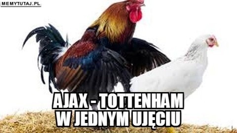 Ajax Amsterdam - Tottenham Hotspur, Liga Mistrzów 2019. Zobacz najlepsze memy po meczu