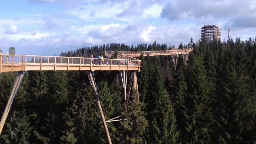 Tatry. Ścieżka w koronach drzew przyciąga tłumy