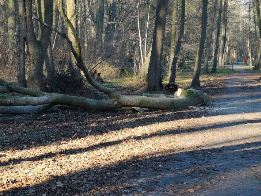 Sztorm w Świnoujściu. Bałtyk zatopił plażę oraz nabrzeża wysp. Takiej sytuacji nie było tu już dawno [ZDJĘCIA]