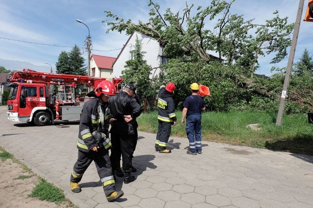 Straż pożarna ze specjalistycznym sprzętem usuwa drzewo, które przewróciło się na dom w Wasilkowie