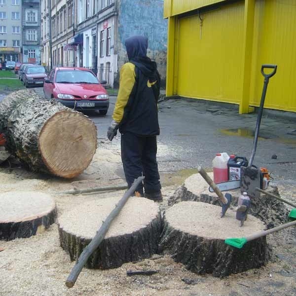 Niedawno wycięte zostały drzewa na placu obok ul. Jagiellońskiej i Wodnej. Ekolodzy twierdzą, że stało się to w okresie ochronnym, czyli po 1 marca.