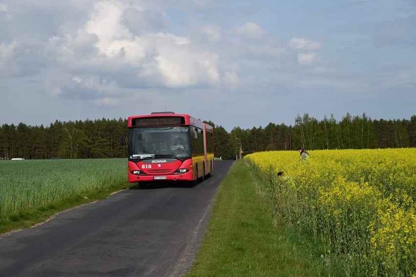 Miłośnicy komunikacji wsiedli do wyjątkowego, czerwonego autobusu. To była świetna wyprawa [ZDJĘCIA] 