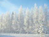 Zima 2020/2021: Jaka będzie pogoda w grudniu 2020? Czy w styczniu i lutym czekają nas mrozy i śnieg? Poważne i niepoważne prognozy