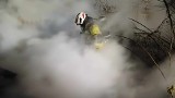 Pożar w Połczynie-Zdroju. Strażacy gasili płonącą altankę [ZDJĘCIA]