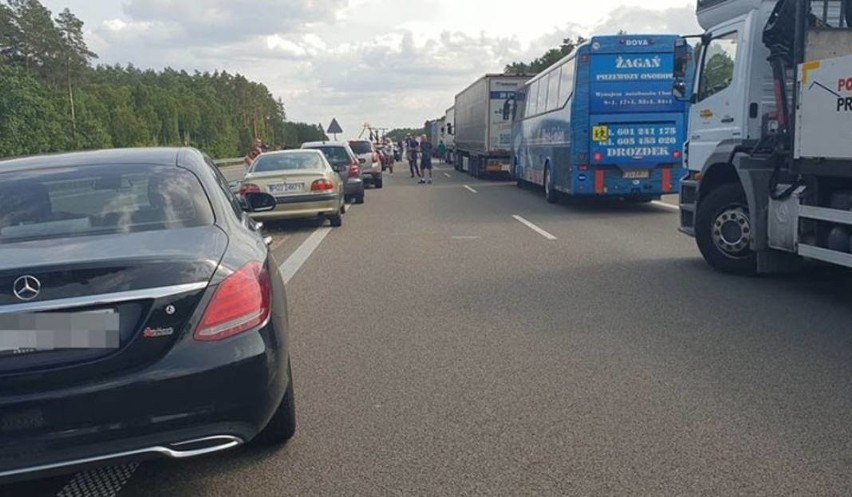 Śmiertelny wypadek na S3. Bus wjechał w ludzi na drodze [WIDEO]