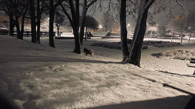 Urokliwą zimową scenerię w Połańcu uchwyciła Internautka Natalia. W piątek, 1 kwietnia, spadło sporo śniegu w całym regionie. Wieczorem, po zmroku, miasto wyglądało bajecznie. Zobaczcie więcej na kolejnych slajdach.Masz zimowe zdjęcie z powiatu staszowskiego? Przyślij je na internet@echodniae.eu