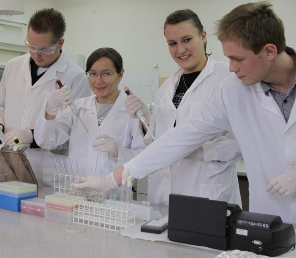 Krzysztof Kubka, Aleksandra Man, Sabina Spyrka i Mateusz Dudziak podczas pracy w laboratorium. Tym razem w trakcie pipetowania.