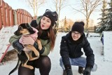 Akcja Zimna buda na UwB. Studenci pomogą psom ze schroniska w Białymstoku (zdjęcia)