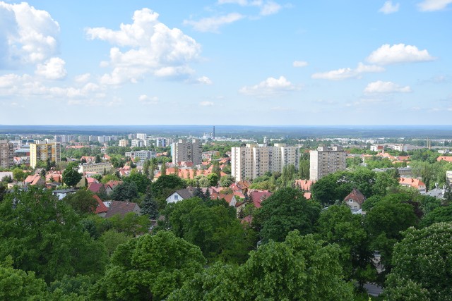 Taki widok z Wieży Braniborskiej w Zielonej Górze rozpościerał się w czerwcu 2017 roku.