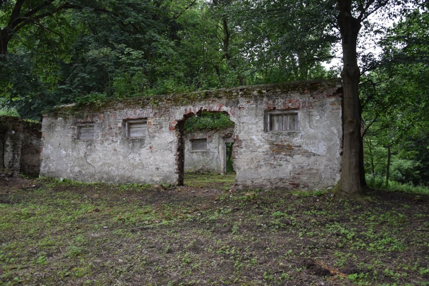 Ruiny dawnych stajni dworskich Sapiehów na Leonczynie, w...