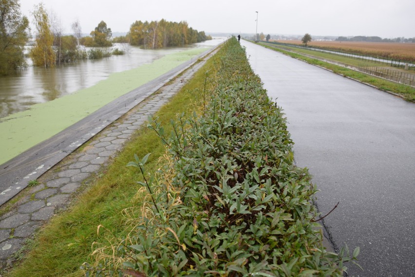 Jezioro Nyskie prawie pełne! Rzeką Nysą Kłodzką popłynie w...