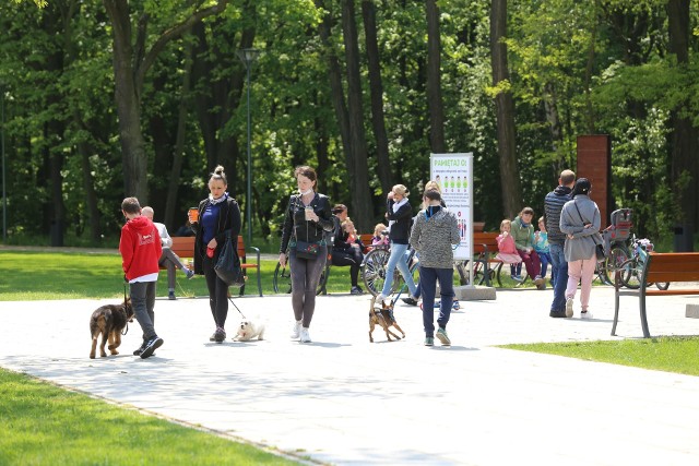 Park Zielona w Dąbrowie Górniczej to idealne miejsce na niedzielne spacery.Zobacz kolejne zdjęcia. Przesuwaj zdjęcia w prawo - naciśnij strzałkę lub przycisk NASTĘPNE