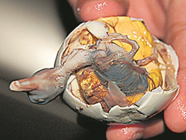 Balut...