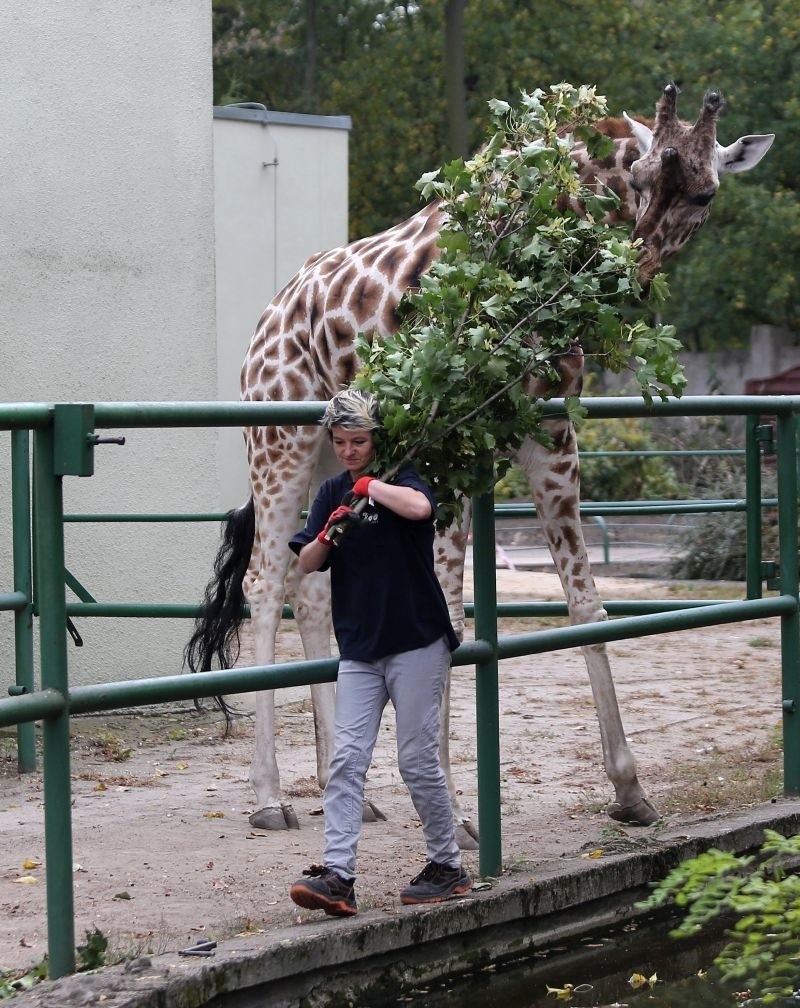 Zoo w Łodzi