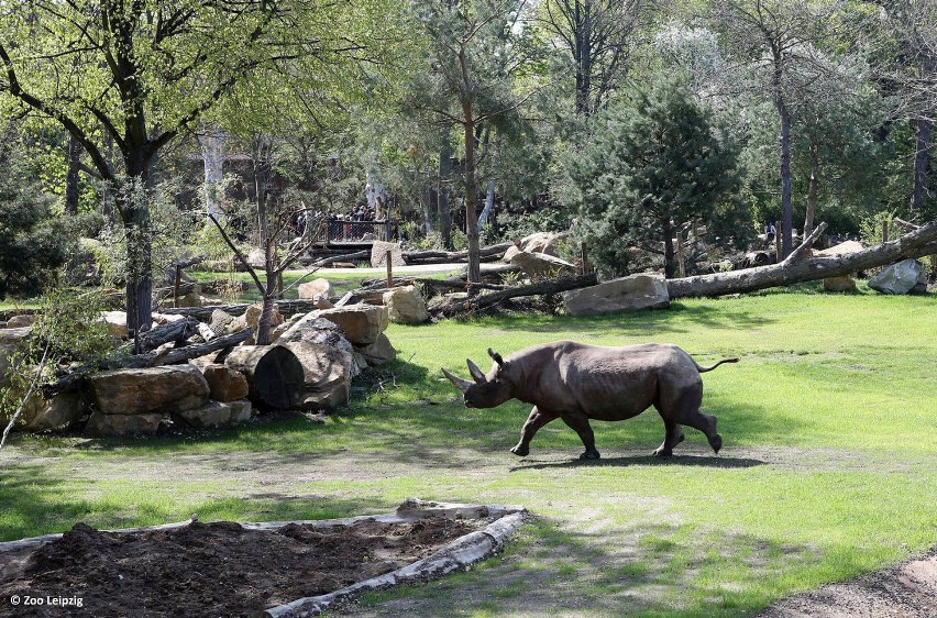 Wygraj wycieczkę do Lipska – zoo i park rozrywki Belantis gwarantują zabawę dla całej rodziny