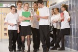 Reforma oświaty w Bielsku Białej - tak wygląda nowa sieć szkół 