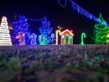 Świąteczna wioska w Jaszkowej Dolnej na Dolnym Śląsku. Migocze tysiące bożonarodzeniowych światełek