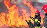 W Mysłowicach zgotują strażakom piekło... do treningów