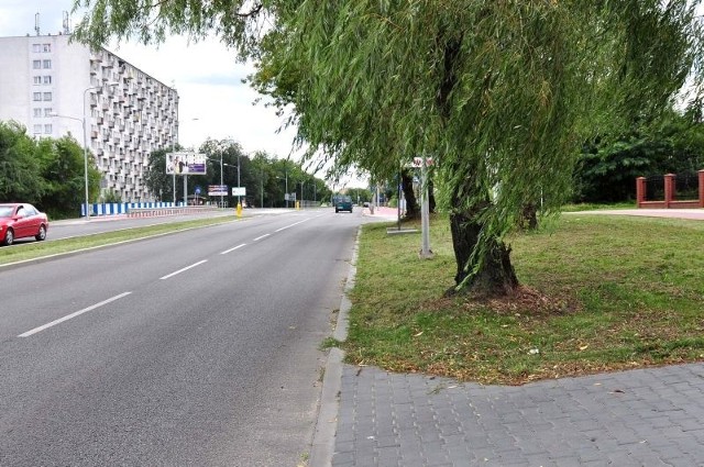 Kierowcy jadący ulicą Warszawską nie widzą znaku, który zasłaniają drzewa. Samego zakrętu też nie widać. Mimo to drogowcy twierdzą, że wszystko jest w porządku.