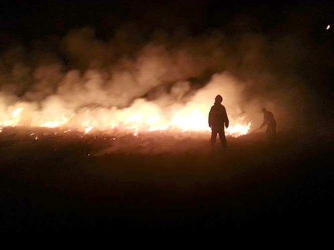 Biebrzański Park Narodowy: Pożar trzciny. Strażacy nie mogli dojechać na miejsce (zdjęcia)