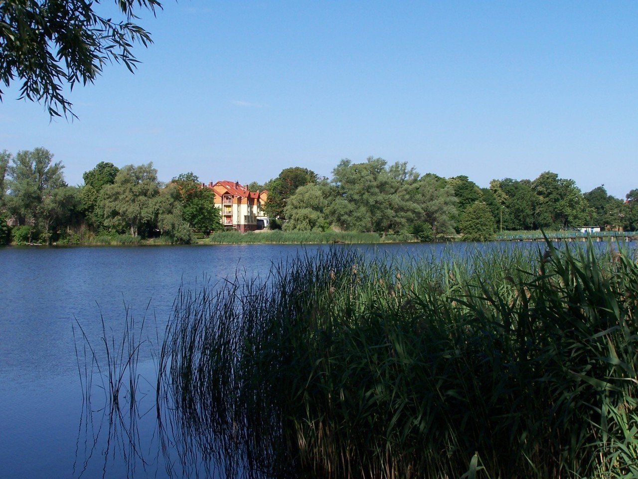 Wody w jeziorze Górnym są już przejrzyste | Gazeta Lubuska