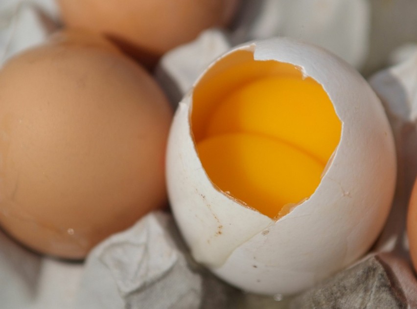Czy można mrozić jajka? Jak je przechowywać, by zachowały świeżość? Oto kilka rad