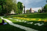 Jak prezentuje się dywan kwiatowy w centrum Poznania? Zobacz zdjęcia!