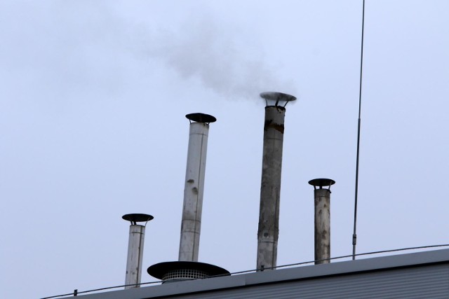 - Na Wrzosach nie mamy czym oddychać, bo ludzie palą byle czym! - alarmują radnego Bartosza Szymańskiego (KO) mieszkańcy. Po jego interwencji Straż Miejska ujawnia smutne wyniki kontroli. Zdaniem rajcy i tak pokazują one tylko wycinek problemu, a mandatów powinno być więcej.Tak zwane kontrole palenisk Straż Miejska przeprowadza w sezonie grzewczym codziennie. Tropi tych, którzy palą odpadami lub niedozwolonymi paliwami. W ubiegłym roku przeprowadziła 1750 takich kontroli w mieście, zakończonych protokołami. Na paleniu odpadami wpadło ponad 300 torunian. Municypalni wlepili około 300 mandatów i skierowali do sądu 3 wnioski o ukaranie. Prawie co czwarty mandat (23 proc.) dotyczył Wrzosów!CZYTAJ DALEJ >>>>>Zobacz także: Uwaga! Oto najniebezpieczniejsze miejsca w Toruniu. Na te ulice torunianie boją się zapuszczać