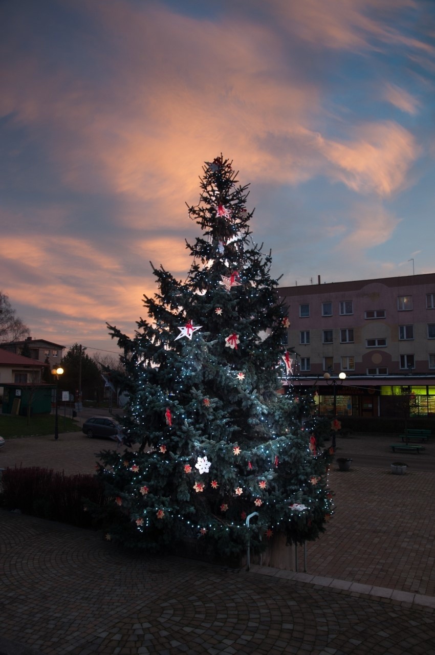 Piękna choinka stanęła na Dużym Rynku w Zawichoście. Świąteczne drzewko zdobią oryginalne ozdoby wykonane przez mieszkańców [ZDJĘCIA]