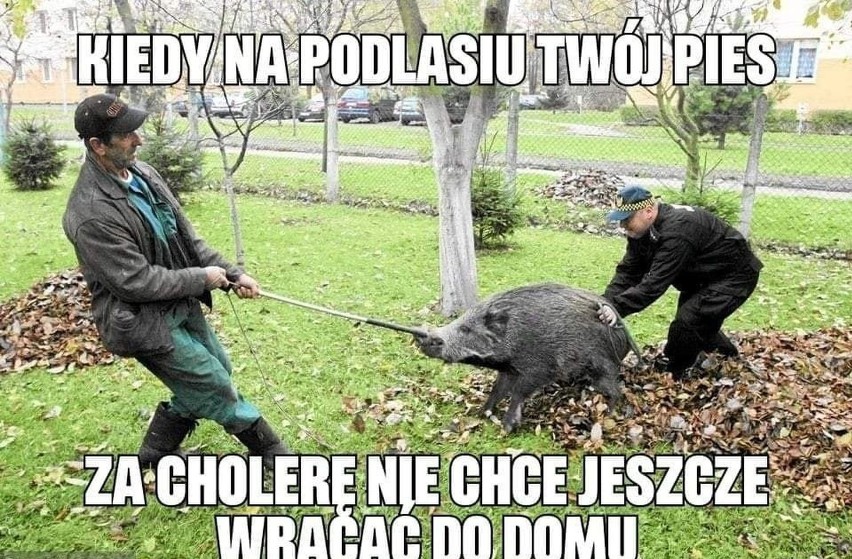 W naszym regionie rolników nie brakuje, wielu sobie...