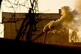 Zanieczyszczenia w Łódzkiem. 32 proc. mieszkańców wdycha zanieczyszczone powietrze